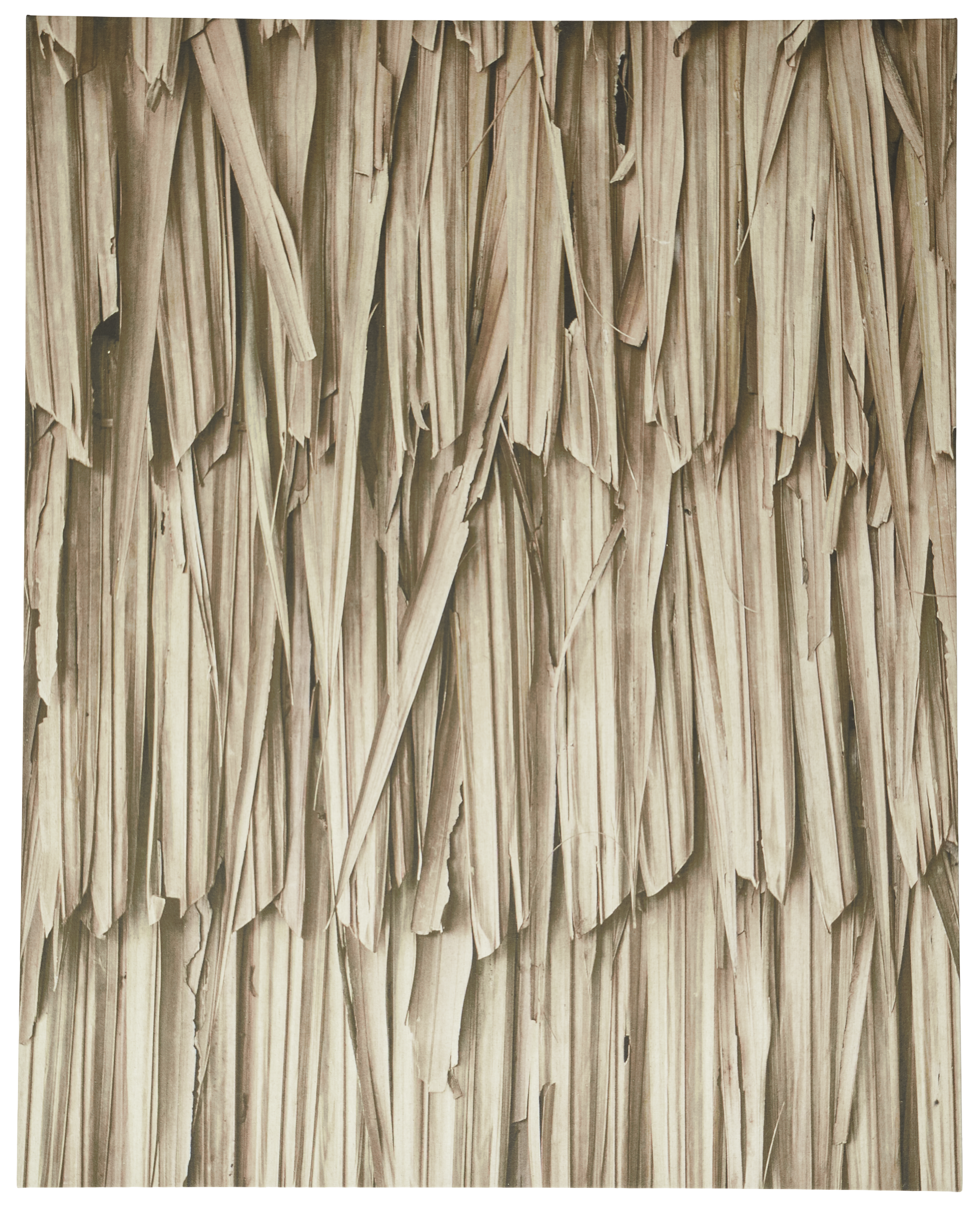 Layers of leaves ギャラリー | Gallery | Layers of leaves | | ボー