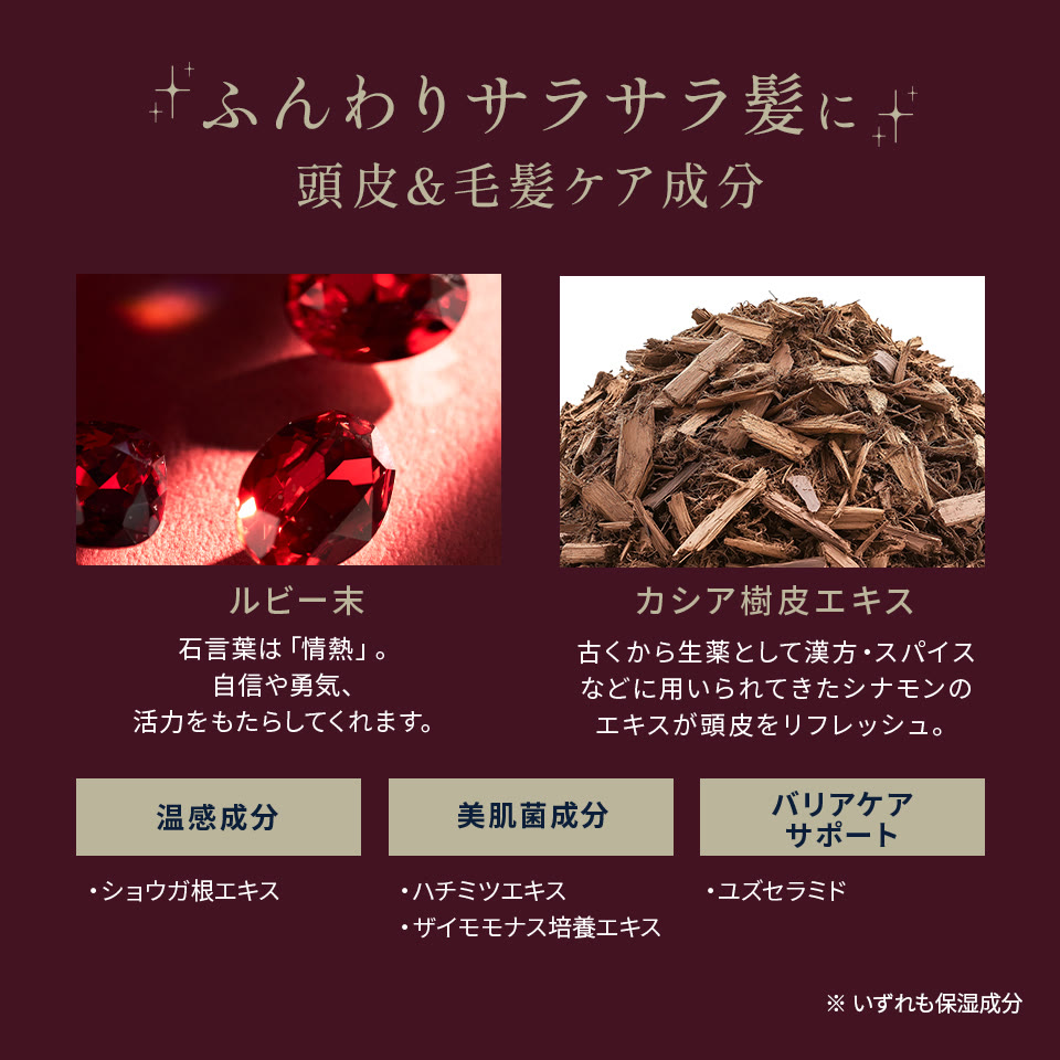 公式】CLUB MEDULLA