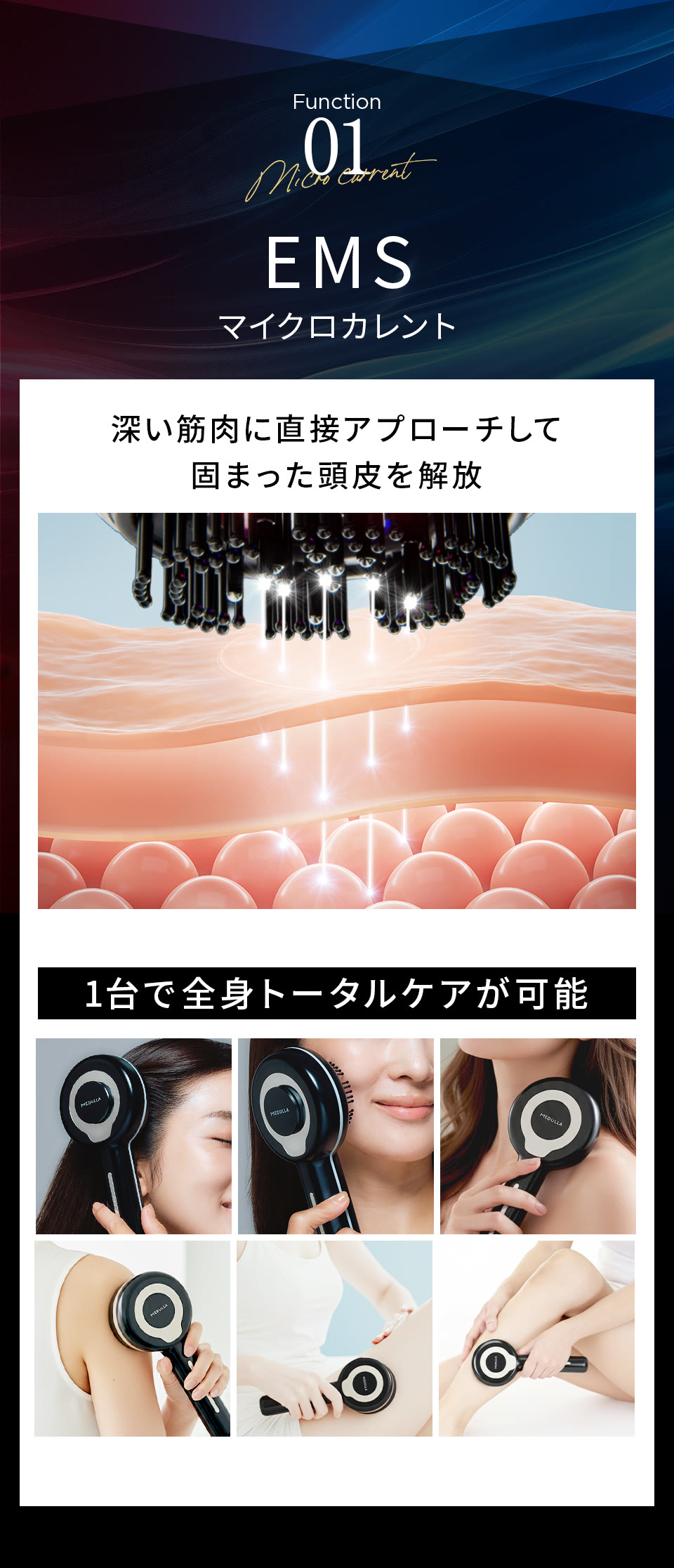 公式】CLUB MEDULLA