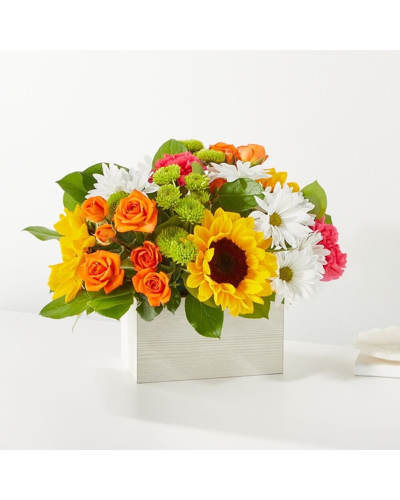Sun-drenched Blooms Bouquet in Washington DC - Lee's Flower Shop