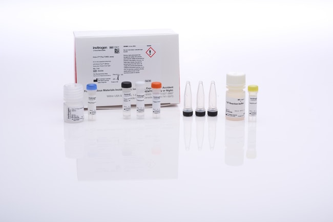 Invitrogen Click-iT Plus TUNEL Assay Kits for In Situ Apoptosis