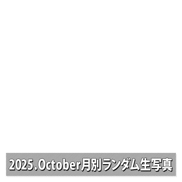 NMB48 OFFICIAL GOODS STORE