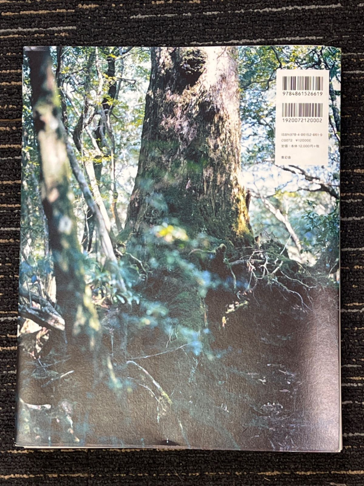 上田義彦写真集 FOREST 印象と記憶 1989-2017 サイン付 - メルカリ