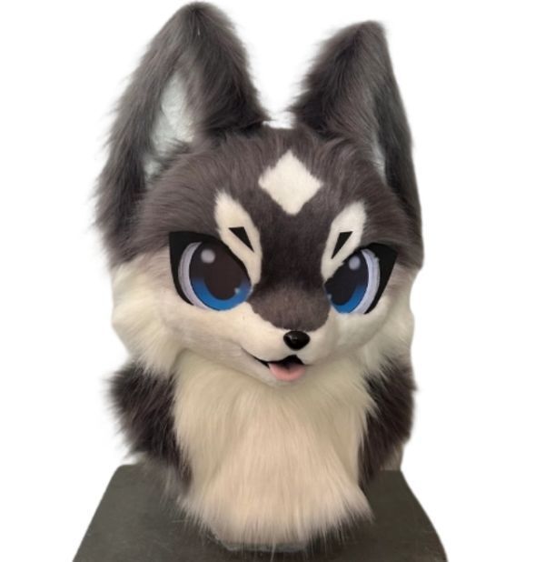 着ぐるみヘッド 犬 Aタイプ 大きめ 身長170ー185cm 全頭ヘッド ケモノ