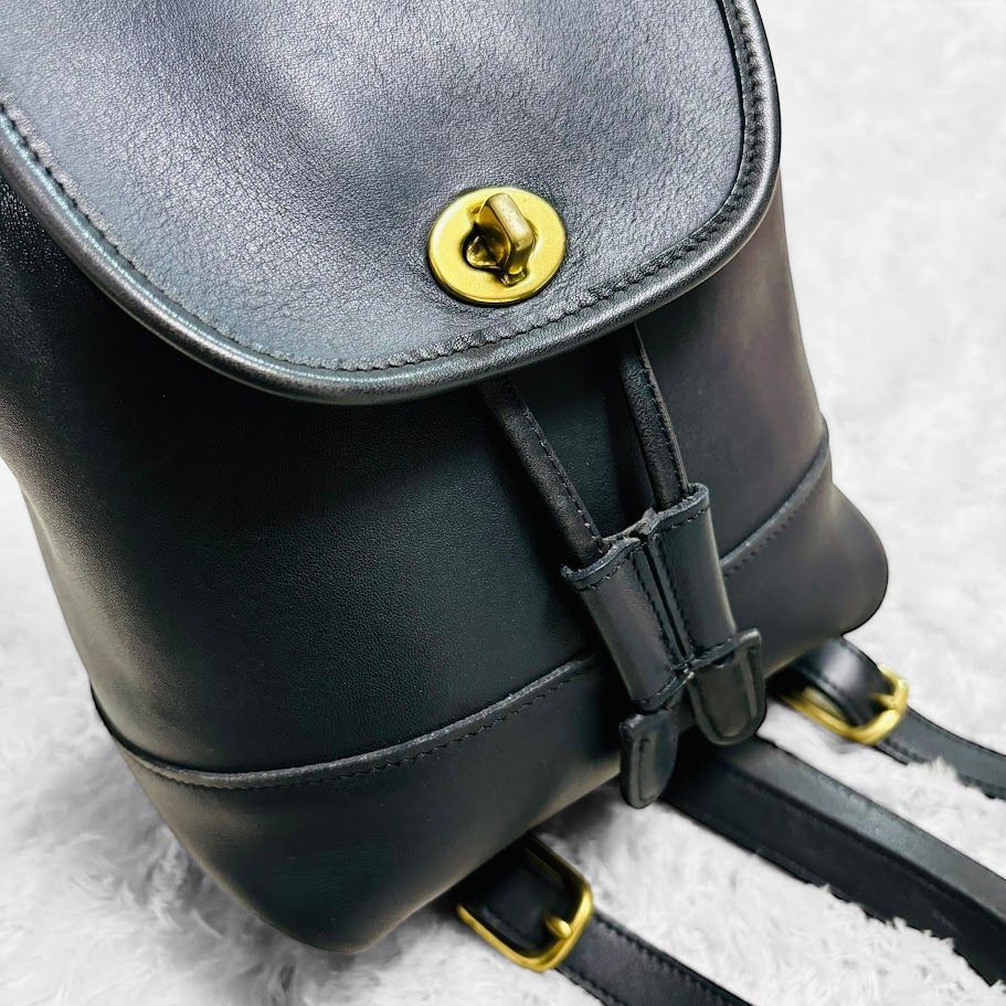 廃盤 希少 COACH コーチ オールドコーチ グラブタンレザー 巾着