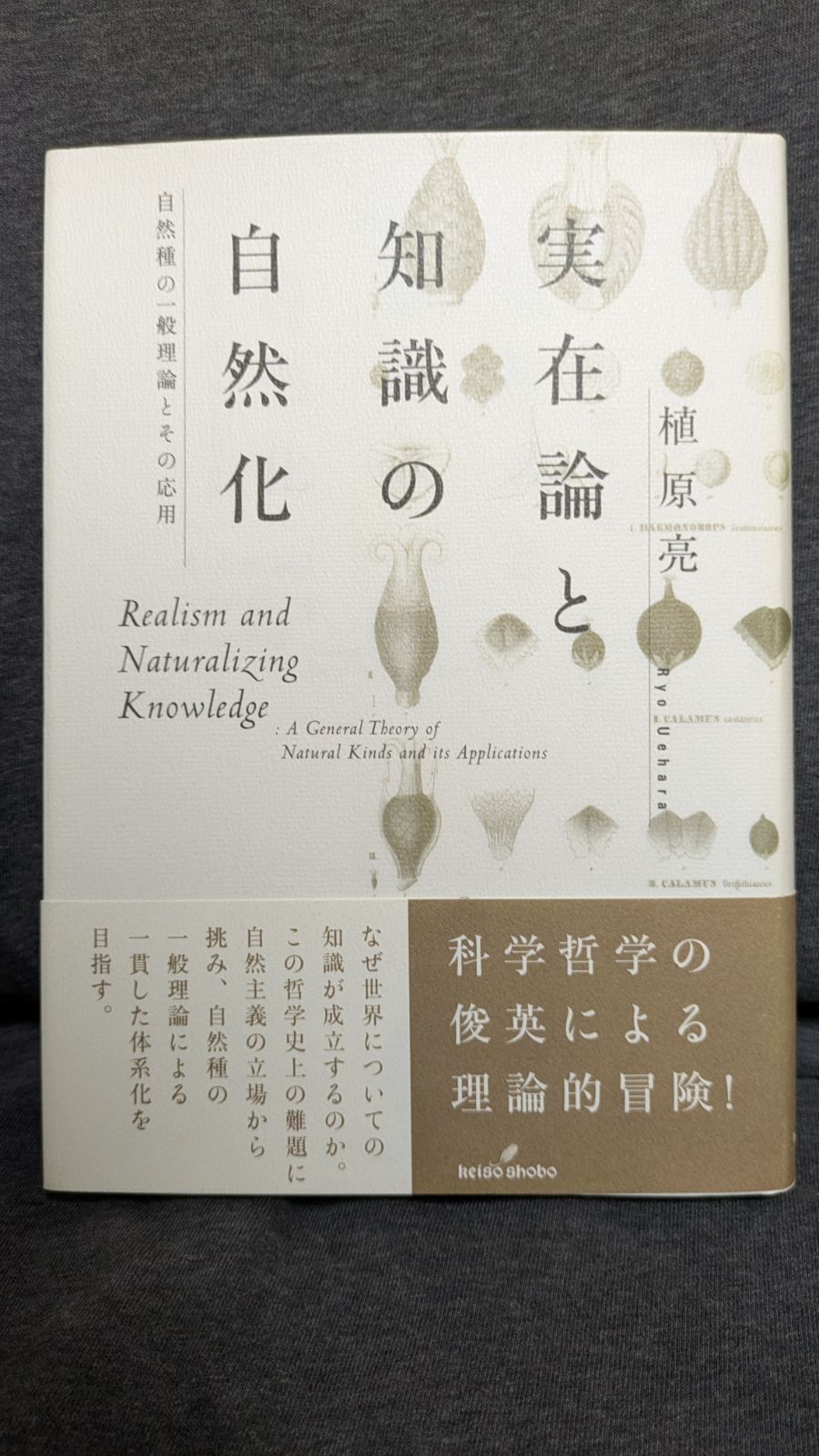 実在論と知識の自然化(初版) 実在論と知識の自然化 / 植原亮 ＜電子版
