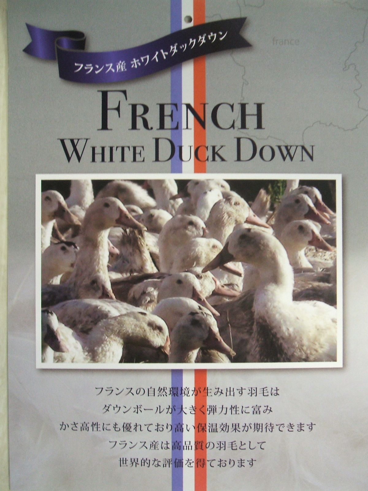 限定品お買い得価格！新品＊五つ星＊ロイヤルゴールドラベル＊フランス