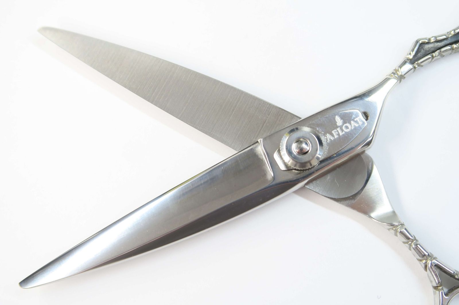 MASTER ロイヤルマスター マキシマスモンスター61 マキシマスMONSTER