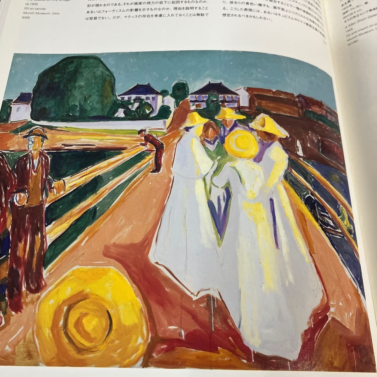 ムンク展 2007年 図録：Edvard Munch the Decorative Projects