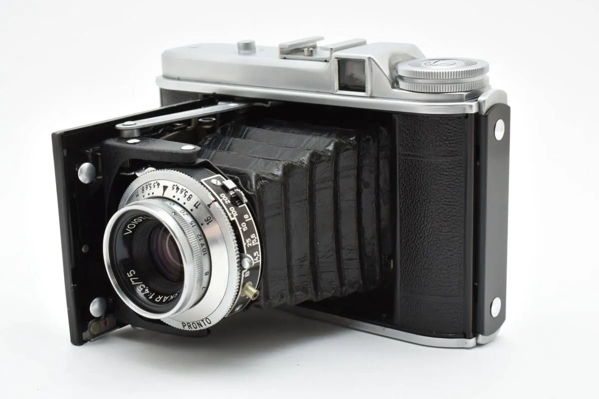 2026年最新】Voigtlander 蛇腹カメラの人気アイテム - メルカリ