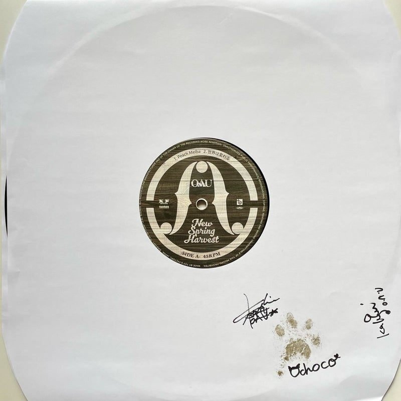 OAU ～サイン入りレコードA to Z （Donuts版） 第41回 OVERGROUND