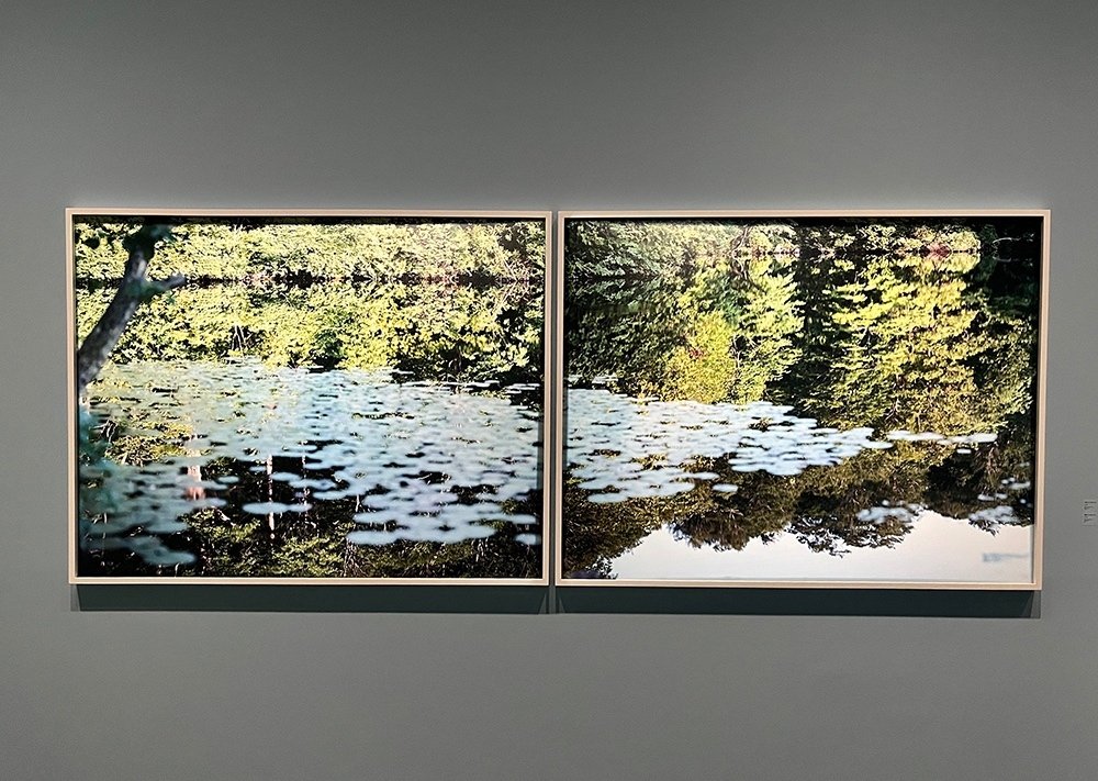 学芸員、アーティゾンへ行く ［しびれた！柴田敏雄と鈴木理策展