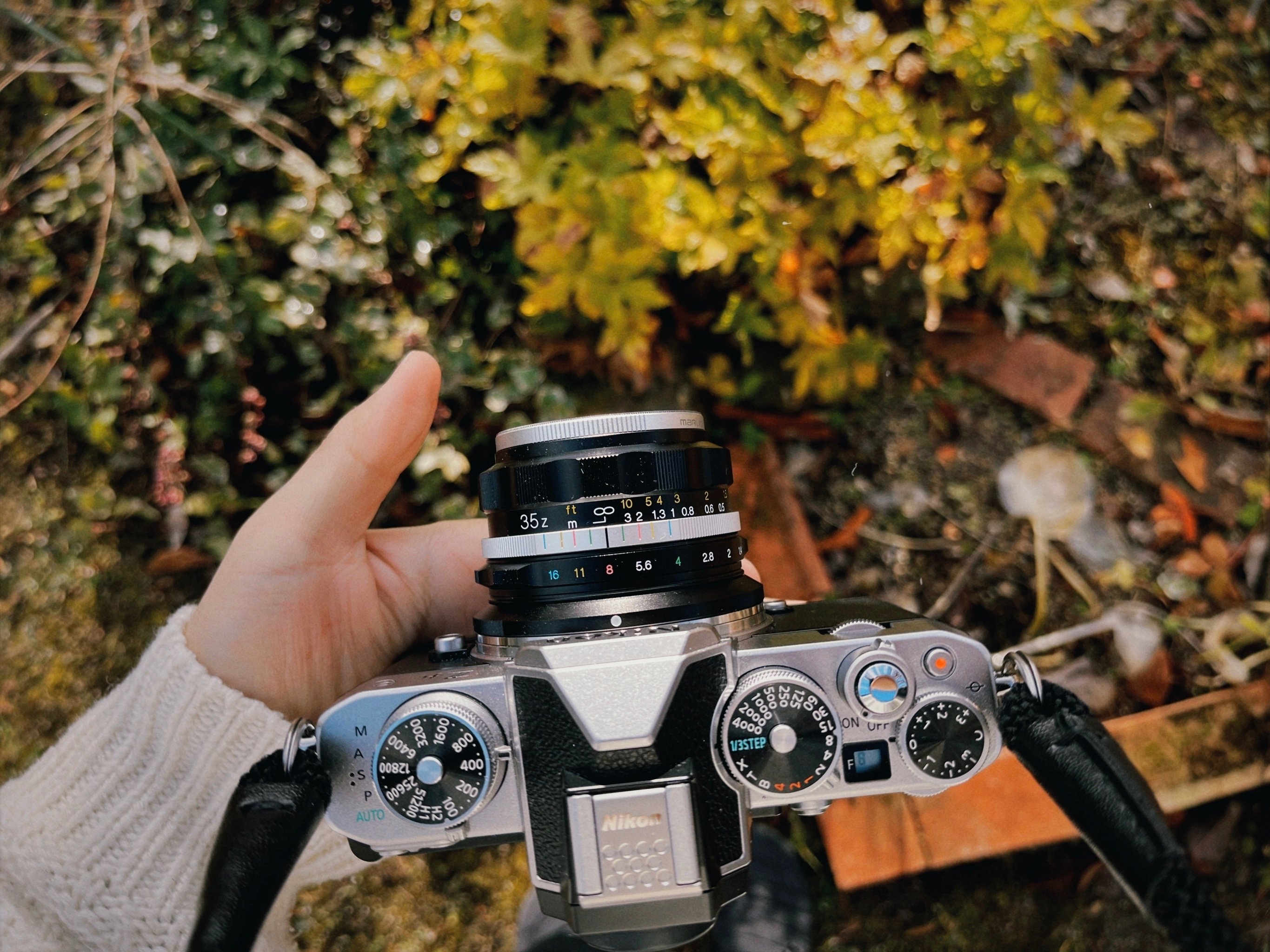 フォクトレンダー Nokton D35mm F1.2｜わたろ