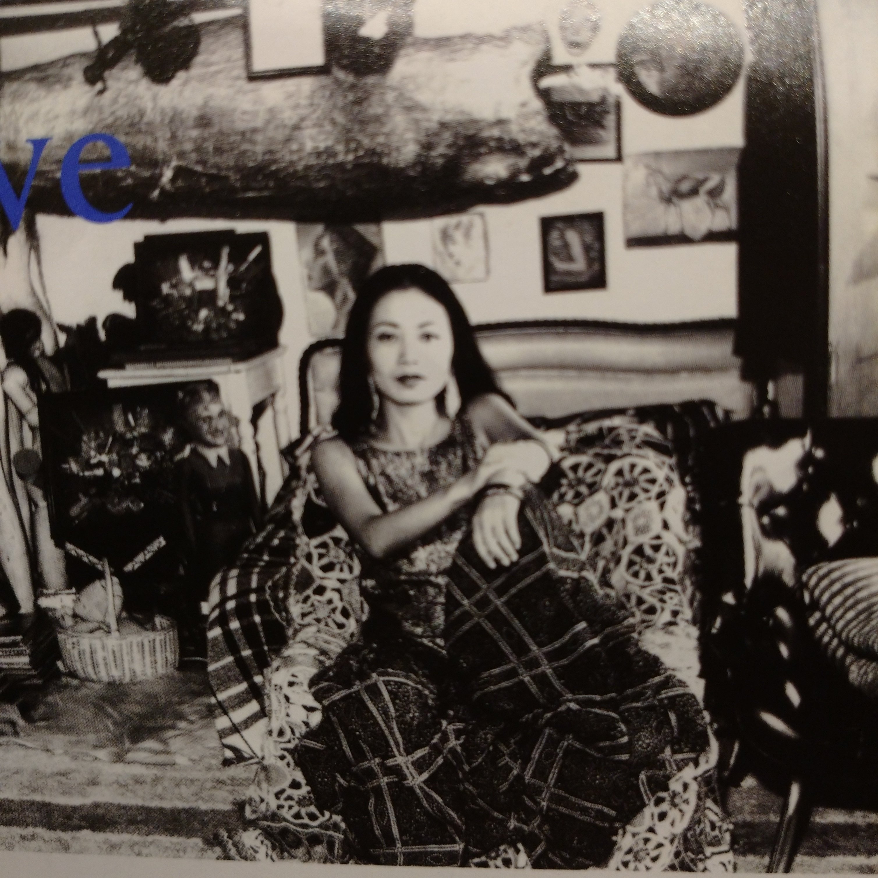 合田佐和子展 帰る途もつもりもない』鑑賞｜hocchi