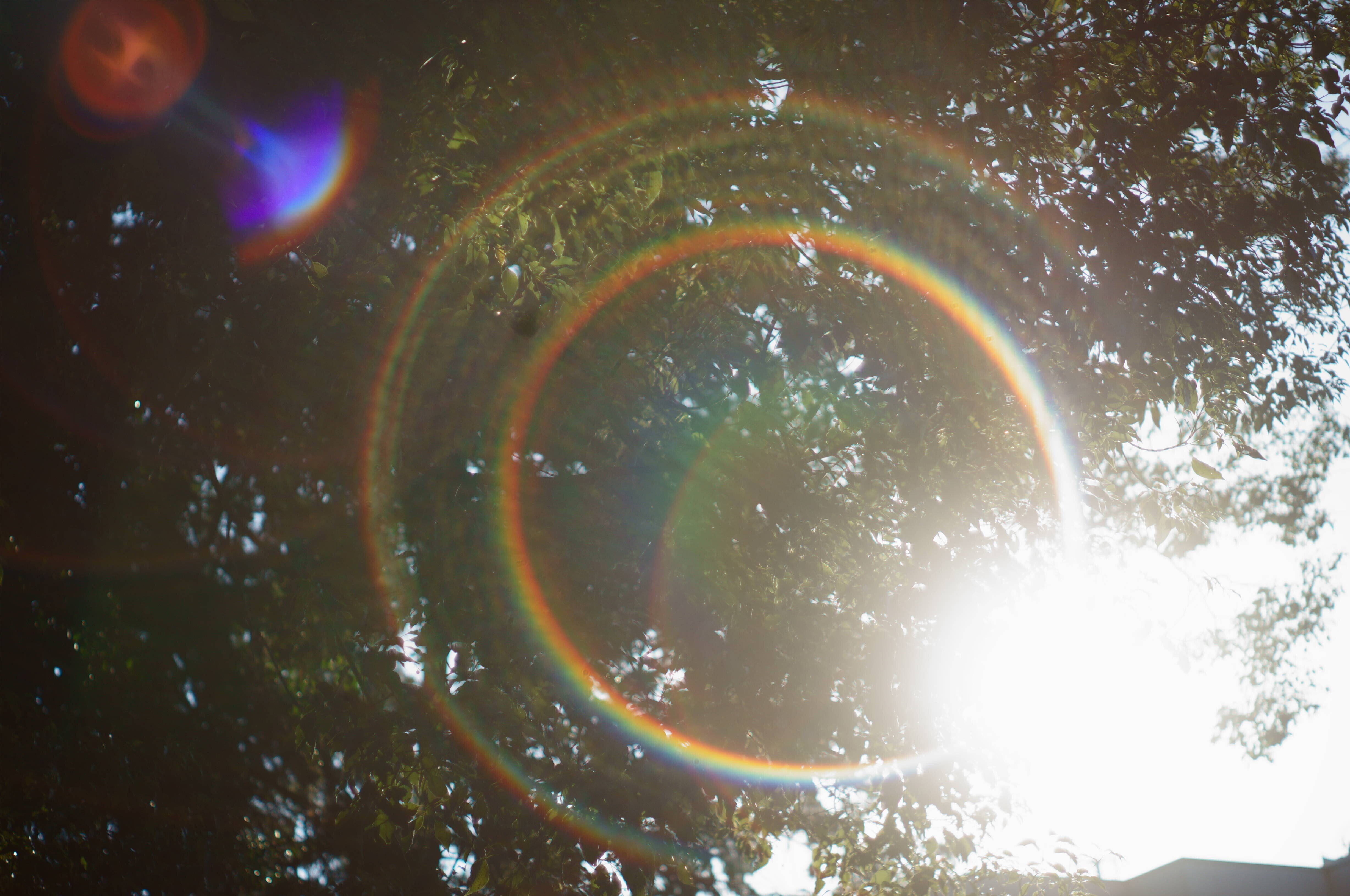 NEX-5Rで Super-Takumar 55mm F1.8 PENTAX 作例｜ぴい(お仕事募集中）