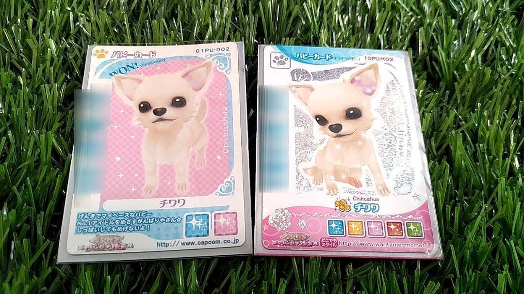 番外編】ワンタメ(カードのおさらい編)｜メイとひみつ。