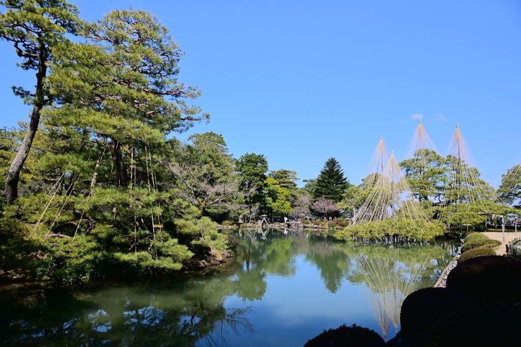 レンズ沼の歩き方」Nikon Ai-Nikkor 24mm F2S ｜saphirinus