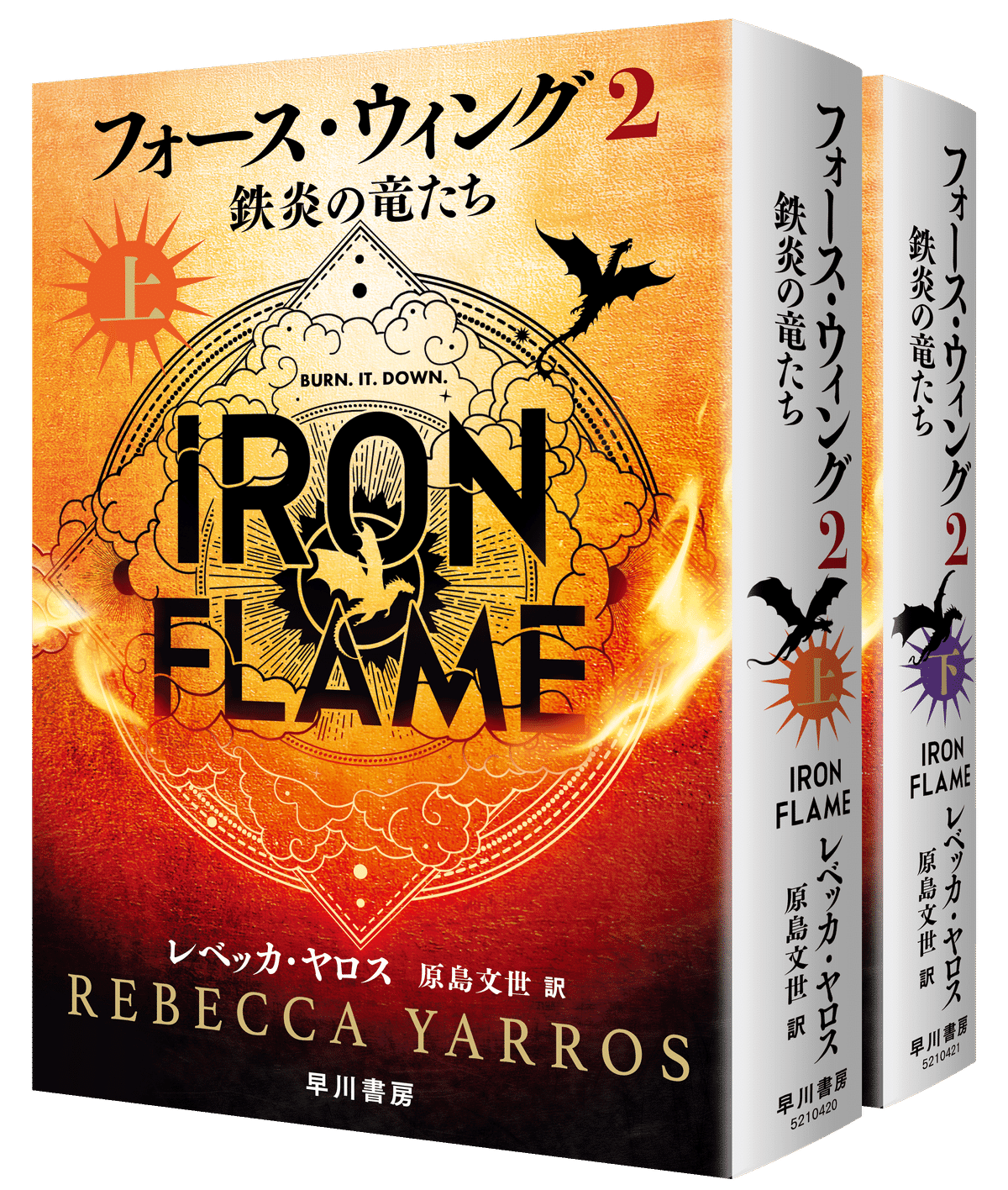 すべてが前巻以上の過激さ……『フォース・ウィング2』池澤春菜氏 解説