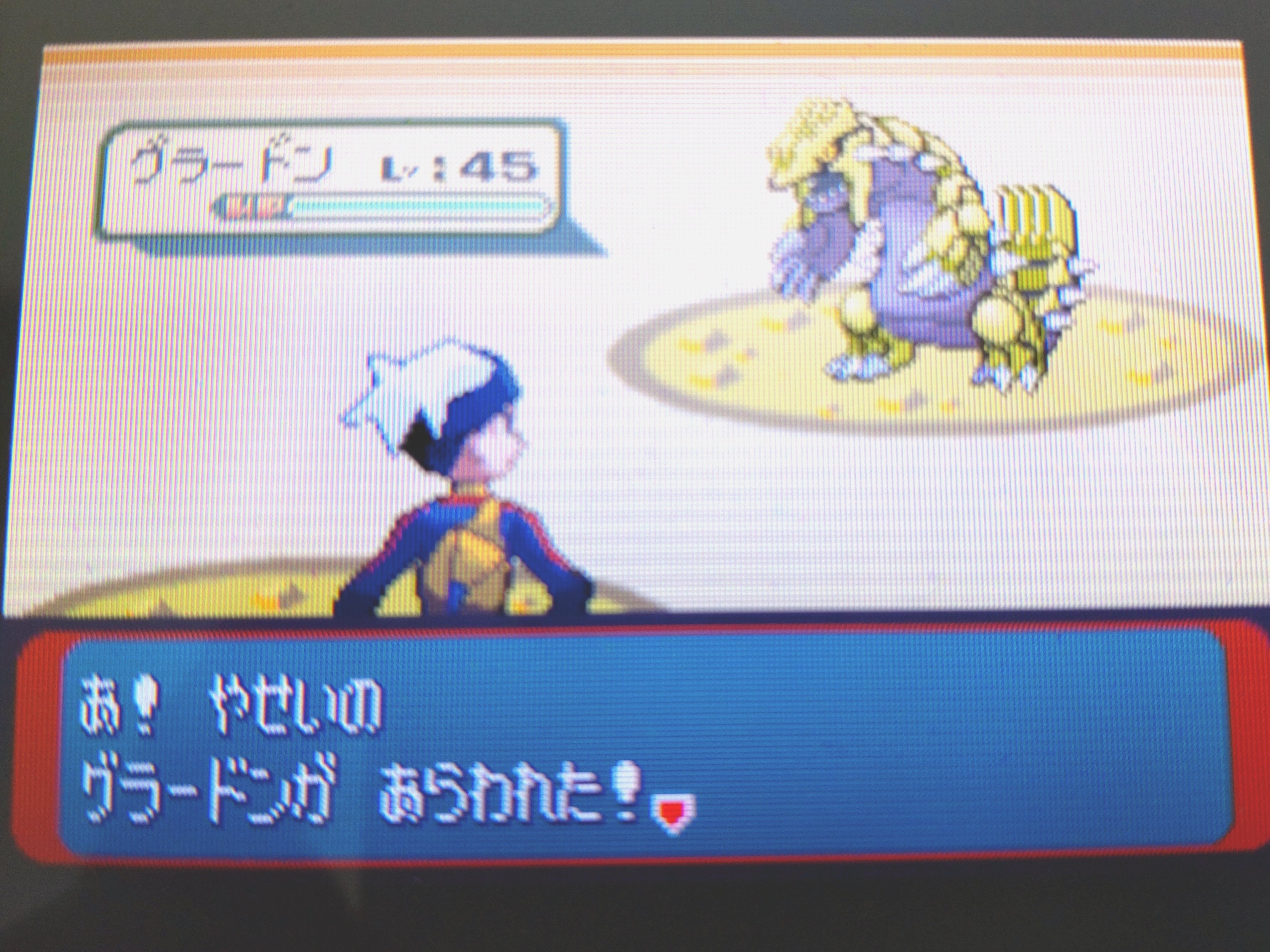 ポケモンRS]ルビー・サファイア限定個体を収集する｜がみ