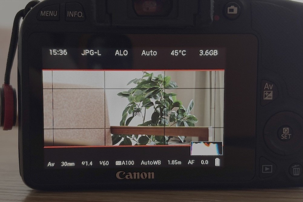 キヤノン機をカスタムする