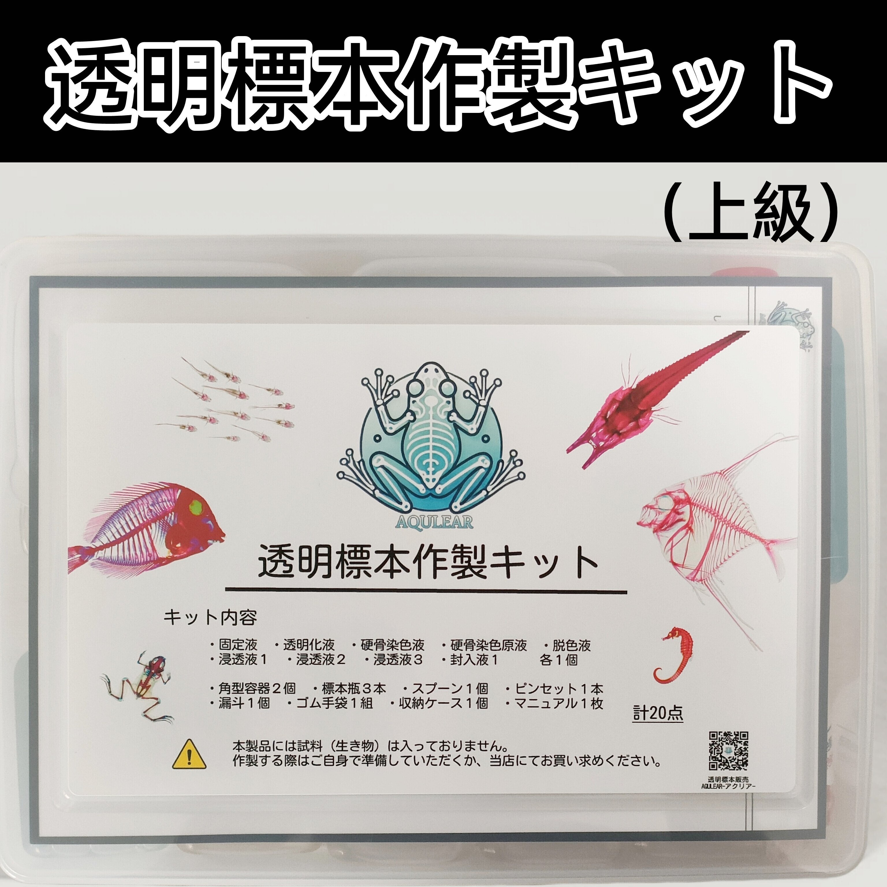 当店オリジナル【透明標本作製キット】（上級）作製マニュアル+補助