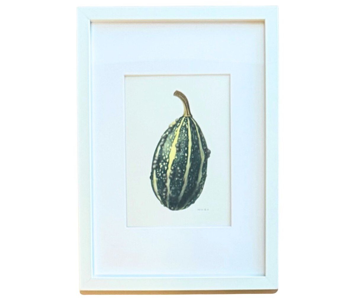 額装迷走中〜ペポカボチャの水彩画〜｜田代わこ