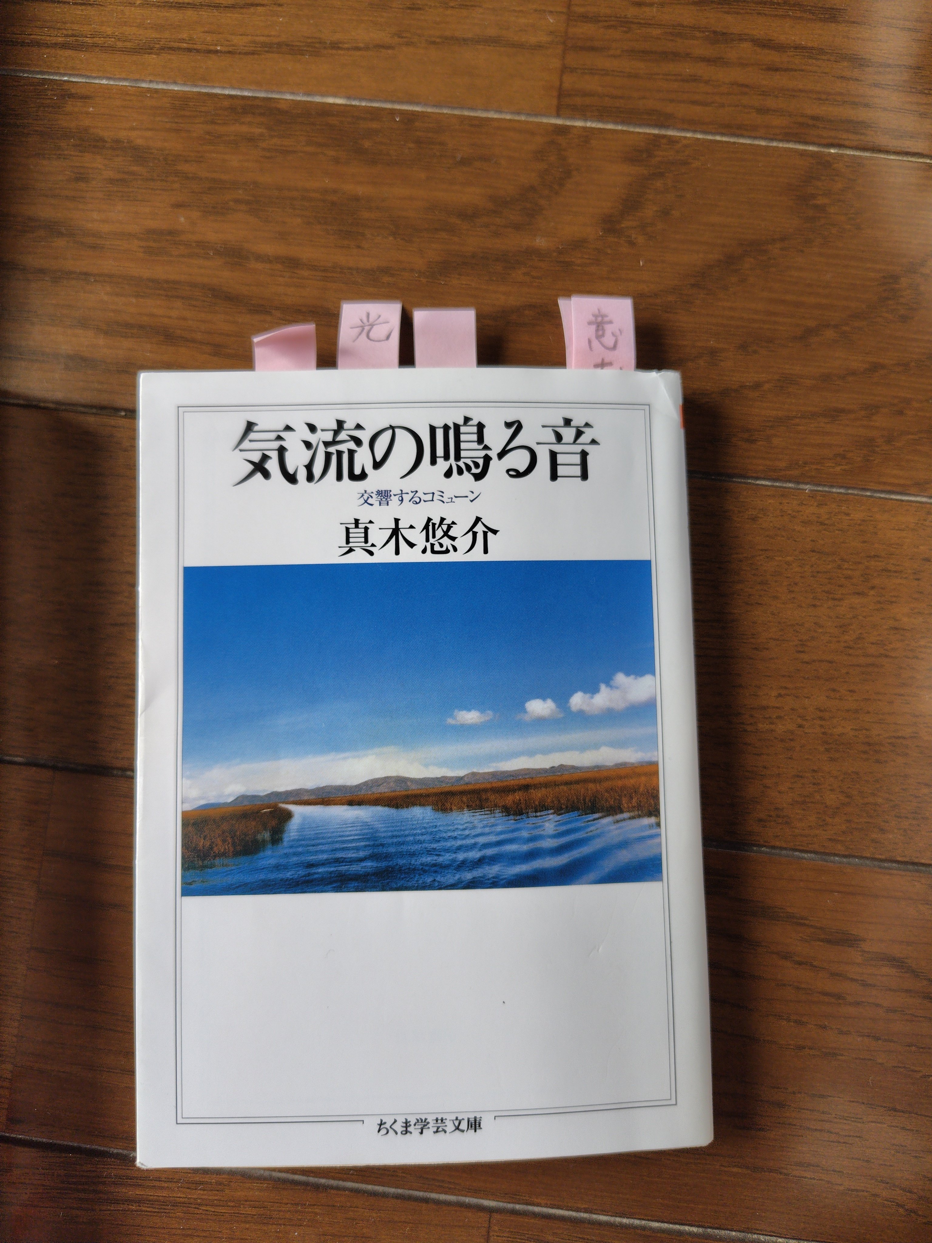 カルロス・カスタネダ著「ドン・ファン シリーズ」を読んで｜圭