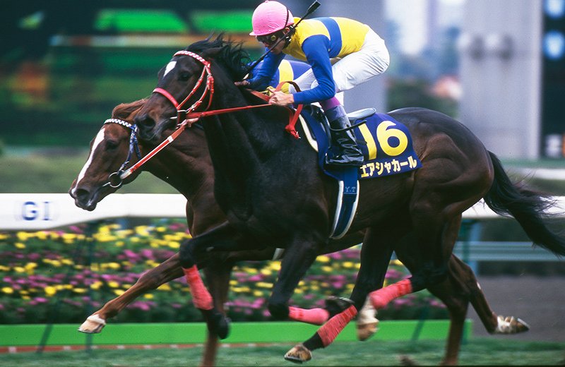 エアシャカール三冠にもっとも近づいた二冠馬｜かず