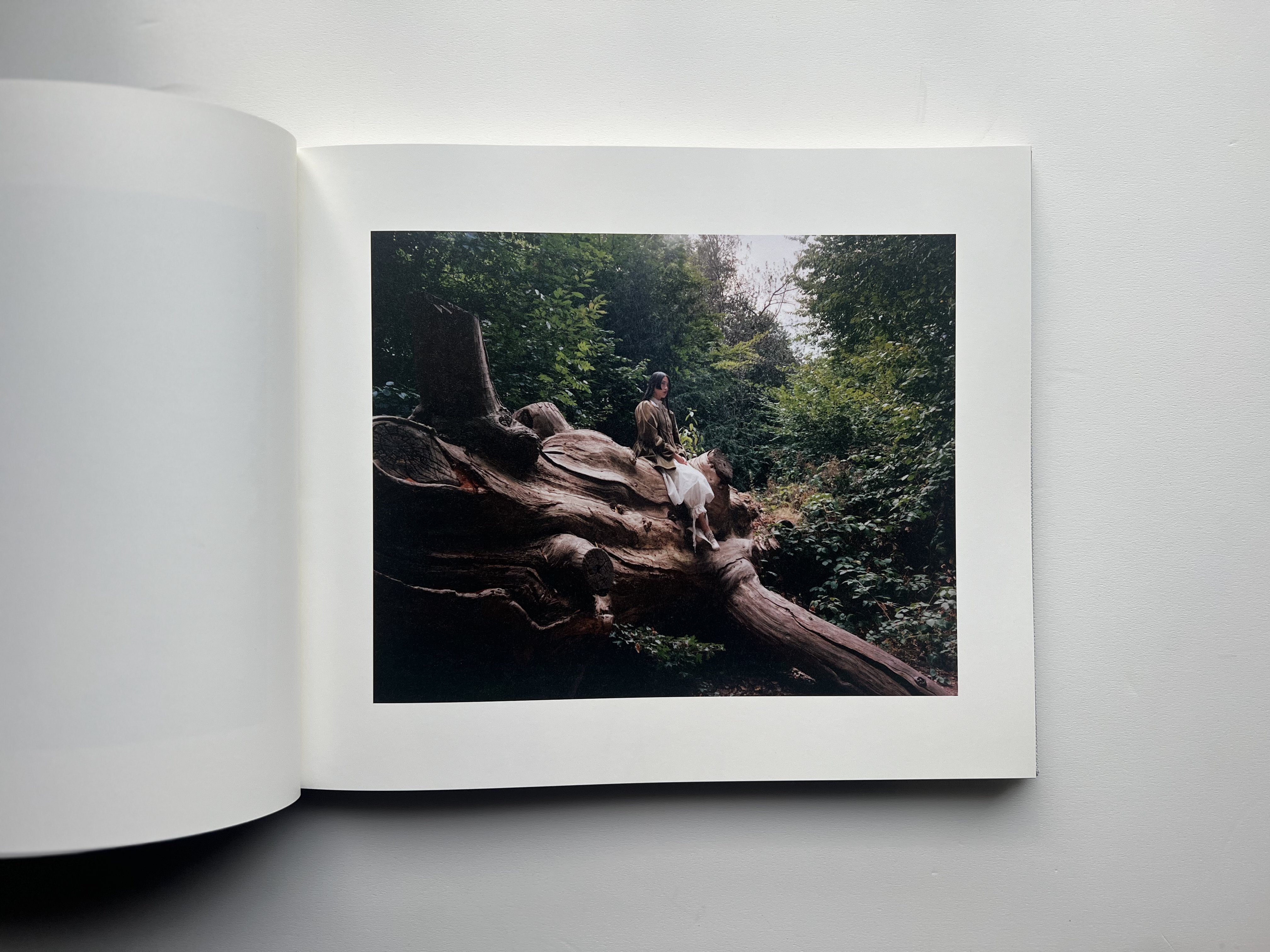 2025年、心に残ったアートブック｜y.yoshiki