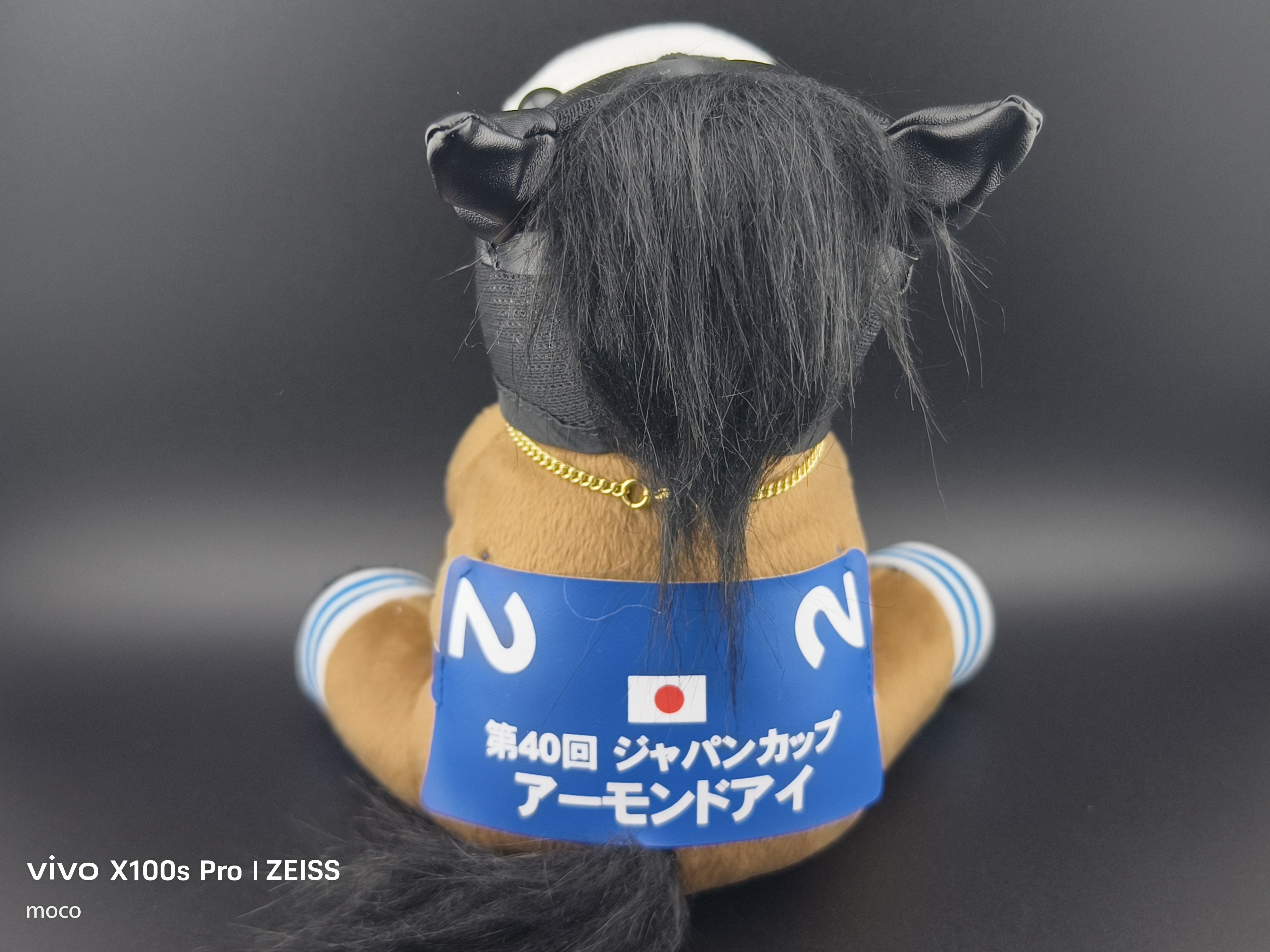 アイドルホースはいいぞ‼️｜mocoブログ