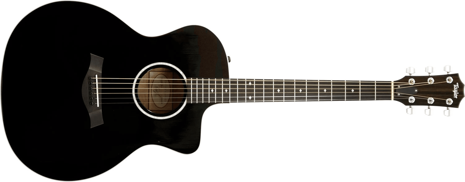 特選中古品！精悍なブラックカラーが印象的なテイラー「214ce DLX BLK