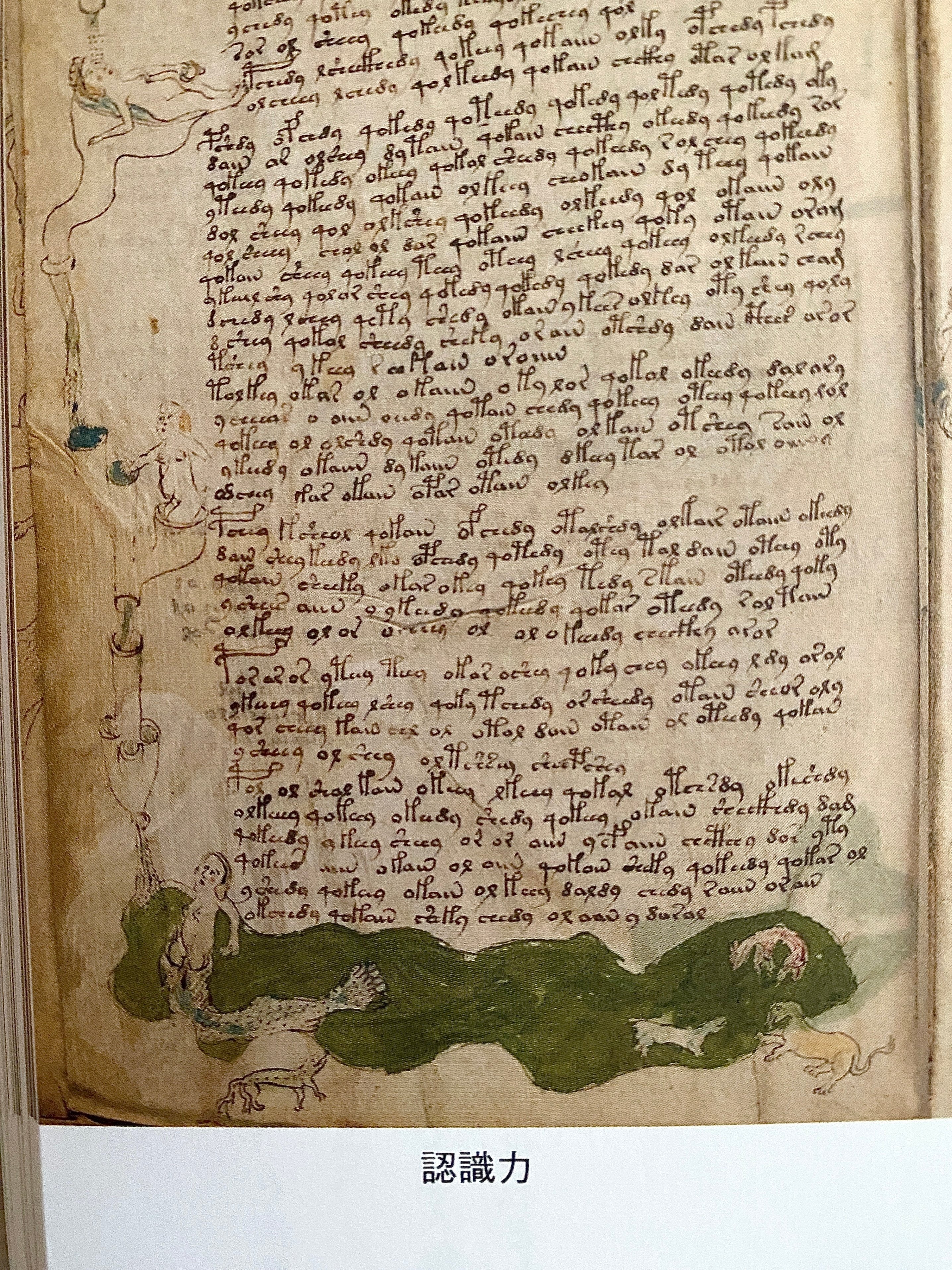 ヴォイニッチ手稿の秘密』 ーVoynich Manuscript｜Lulu's Cabinet