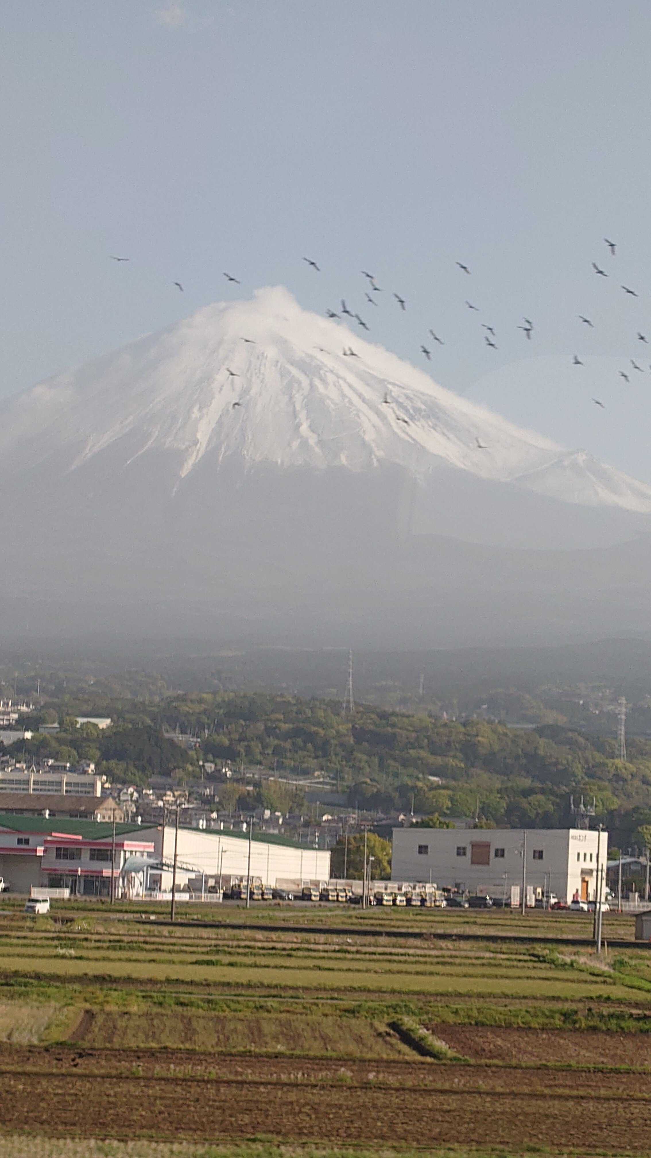 2024.4.19.〜20春馬くん気配探しへ｜はるよこ