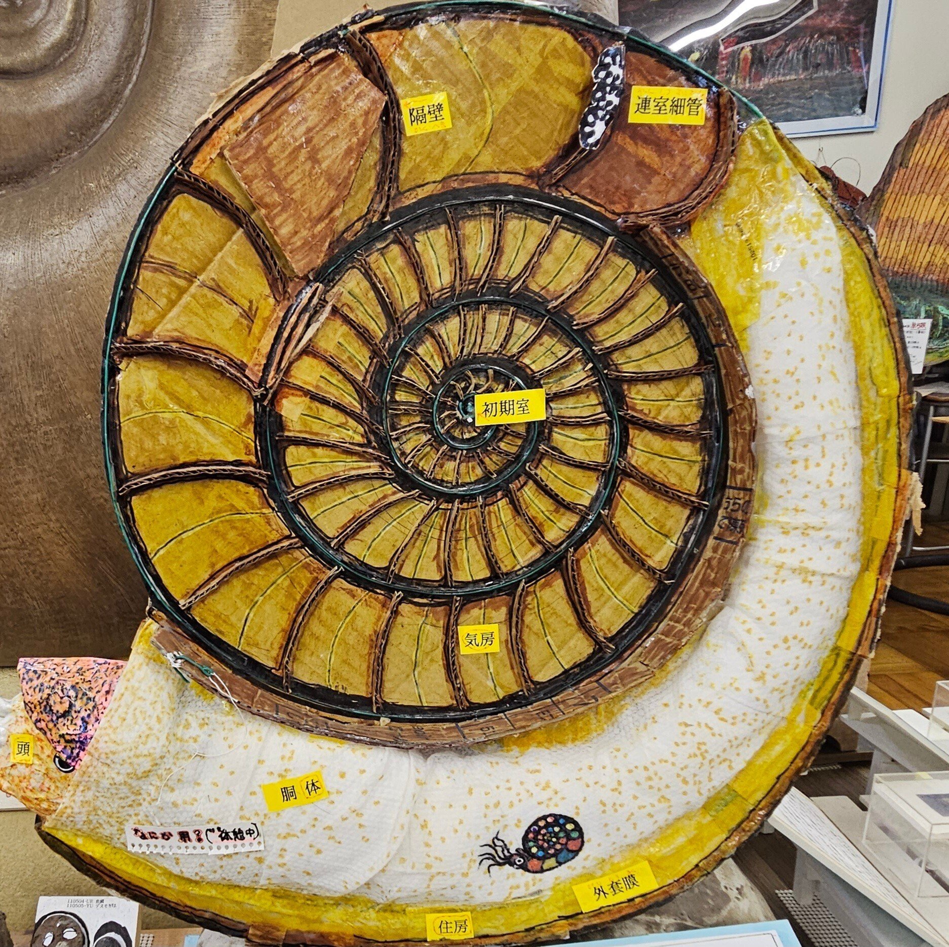 The Lost Universe 古代の巨大頭足類③巨大アンモナイト｜美原さつき