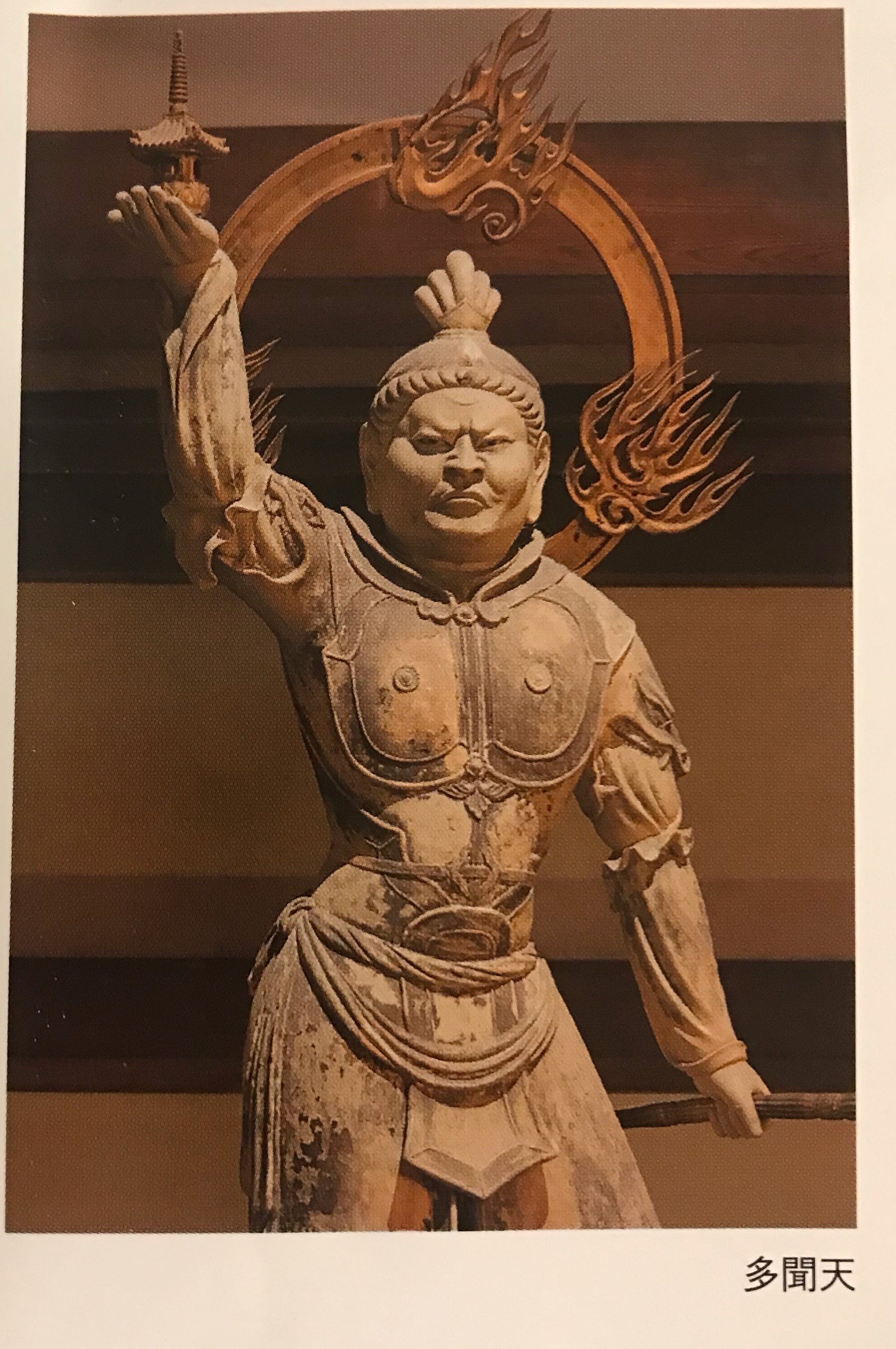 本日も奈良公園🦌仔鹿と邪鬼と四天王が気になる。｜しかのじょう