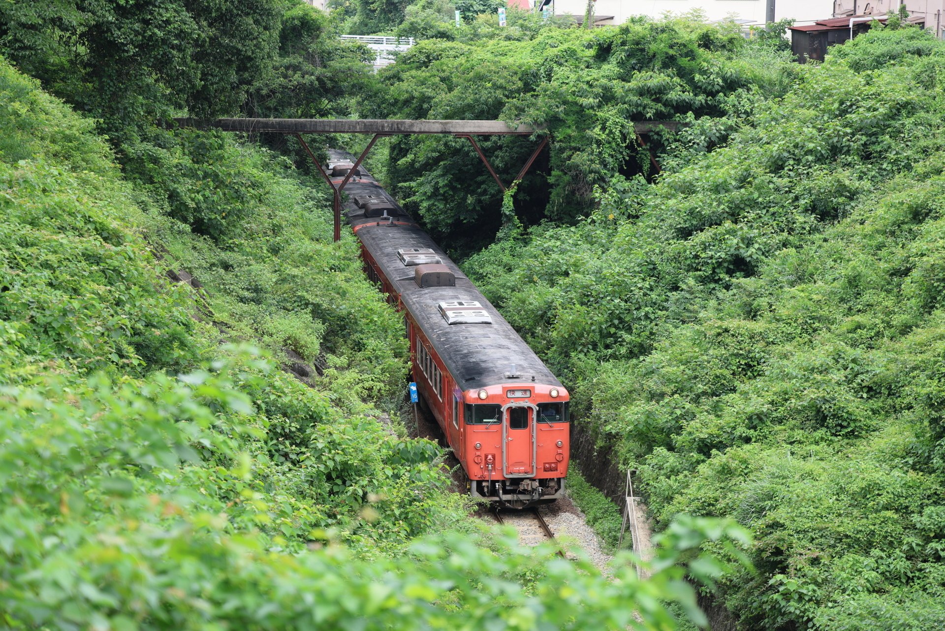 国鉄型最後の聖地芸備線を巡る。広島市内なのにローカル線ムード