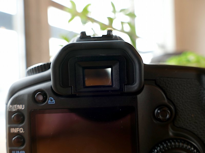 検討/購入/故障/修理】Canon 初代5D今さらレビュー！名機にまつわる