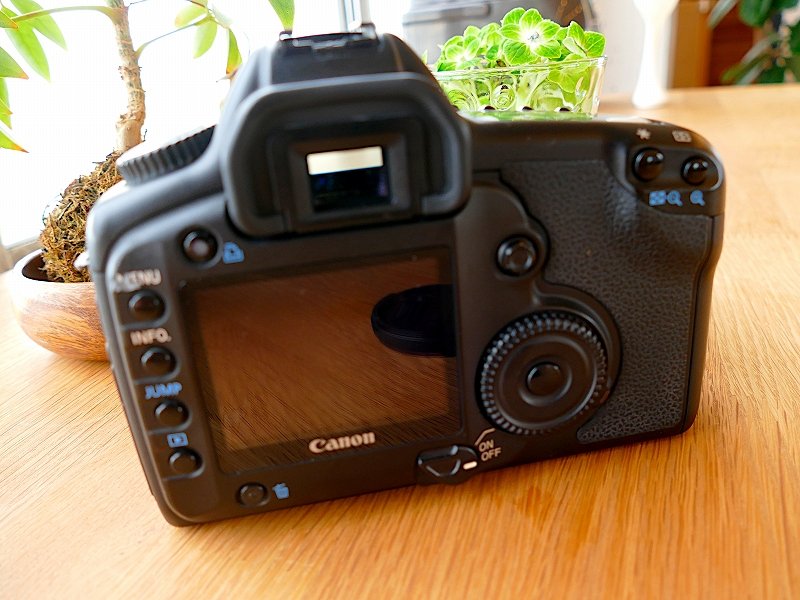 検討/購入/故障/修理】Canon 初代5D今さらレビュー！名機にまつわる
