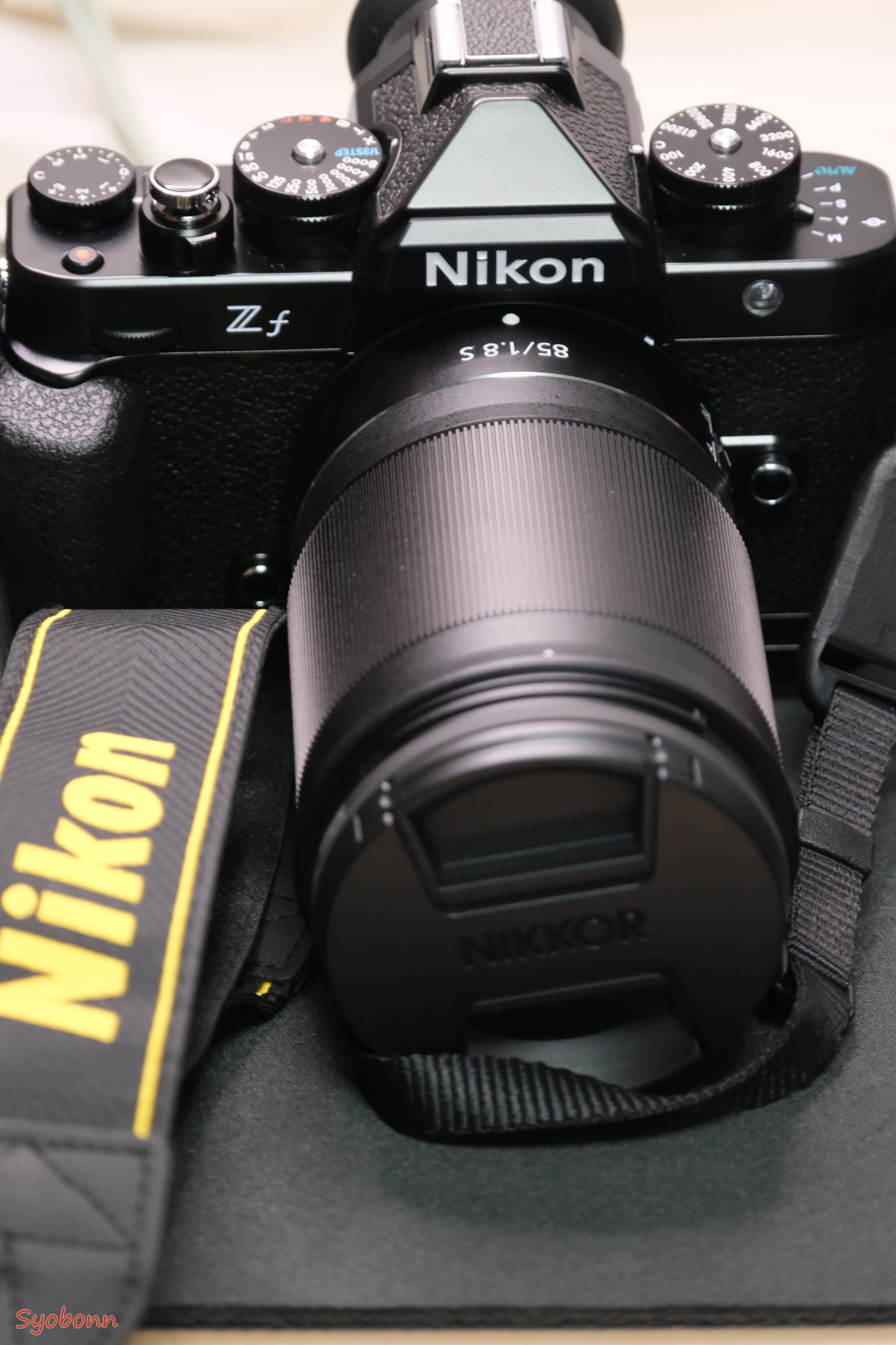 2024年Nikonのカメラとレンズ｜(´・ω・｀)