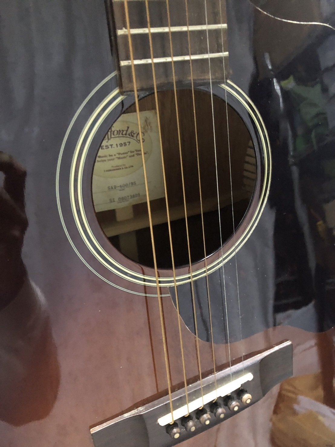 STAFFORD(スタッフォード )SAD-600 エレアコ仕様｜（花鳥風月）ikesan