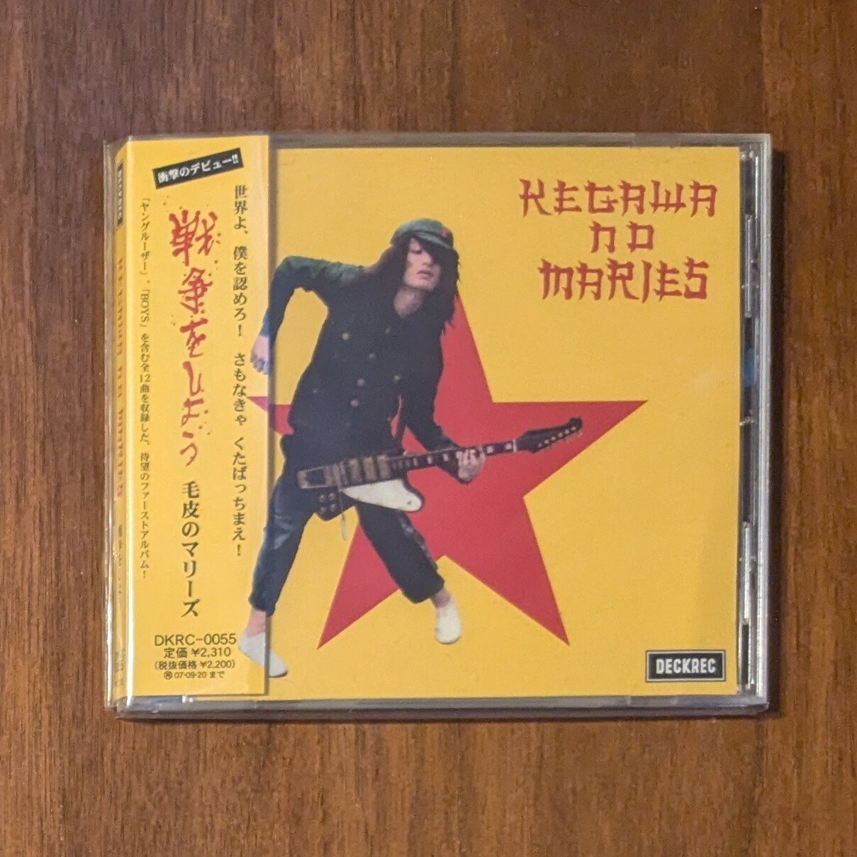 毛皮のマリーズ 魂の全曲レビュー｜さと