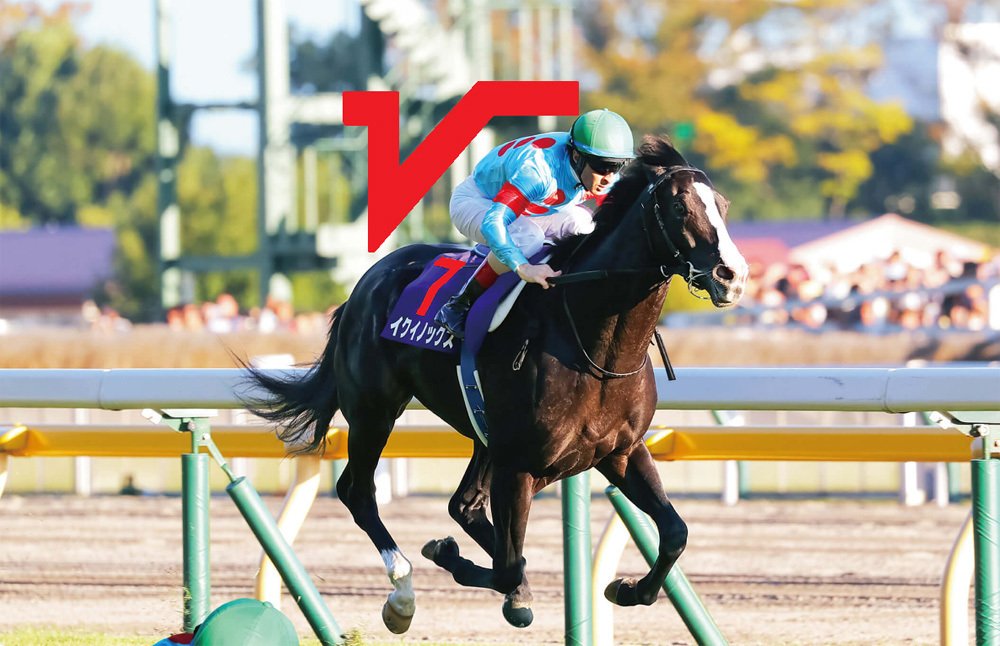2024天皇賞秋ポスター｜日本サイン競馬会