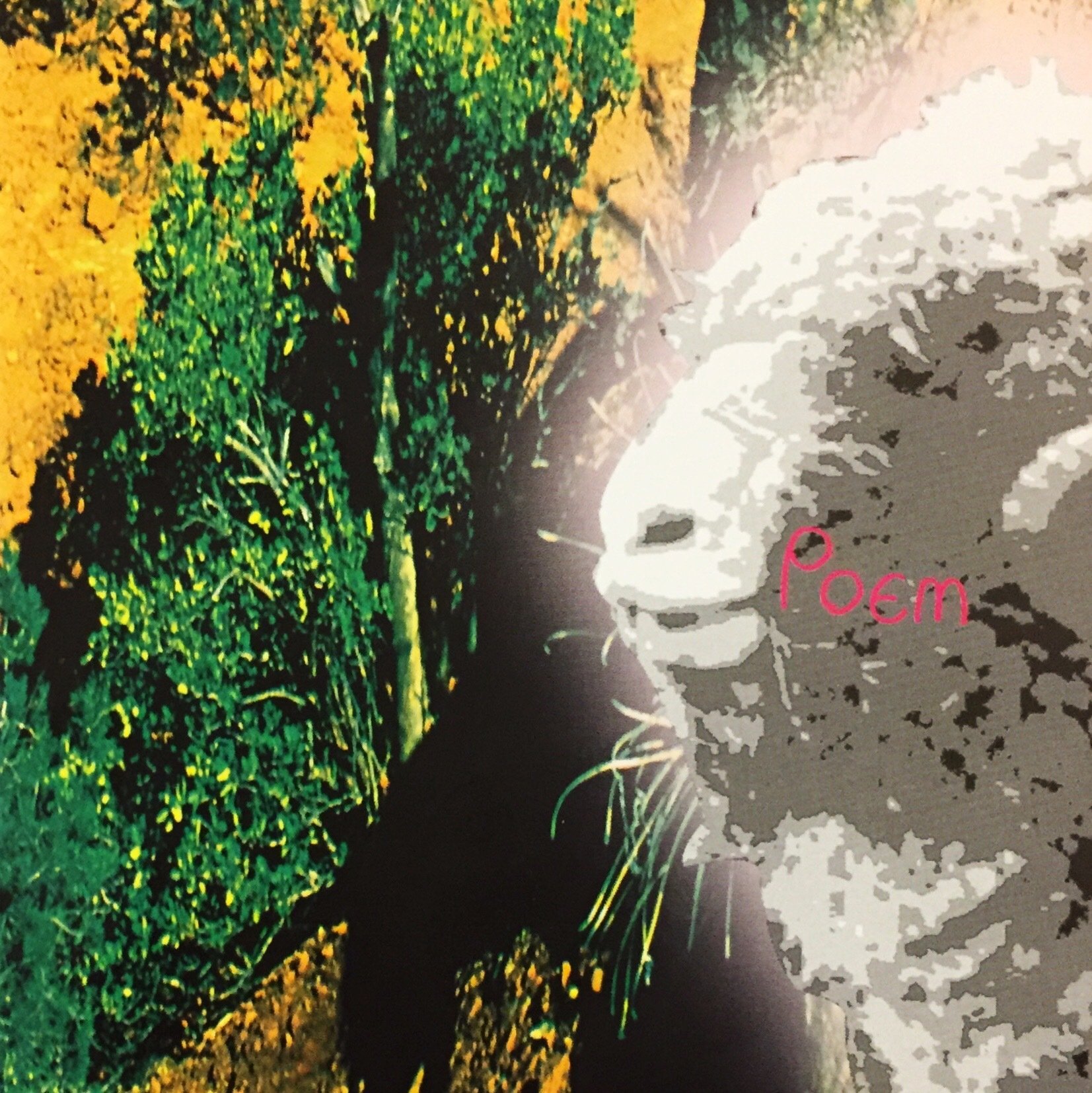 ガーリックボーイズ ～サイン入りレコードA to Z （Donuts版） 第57回