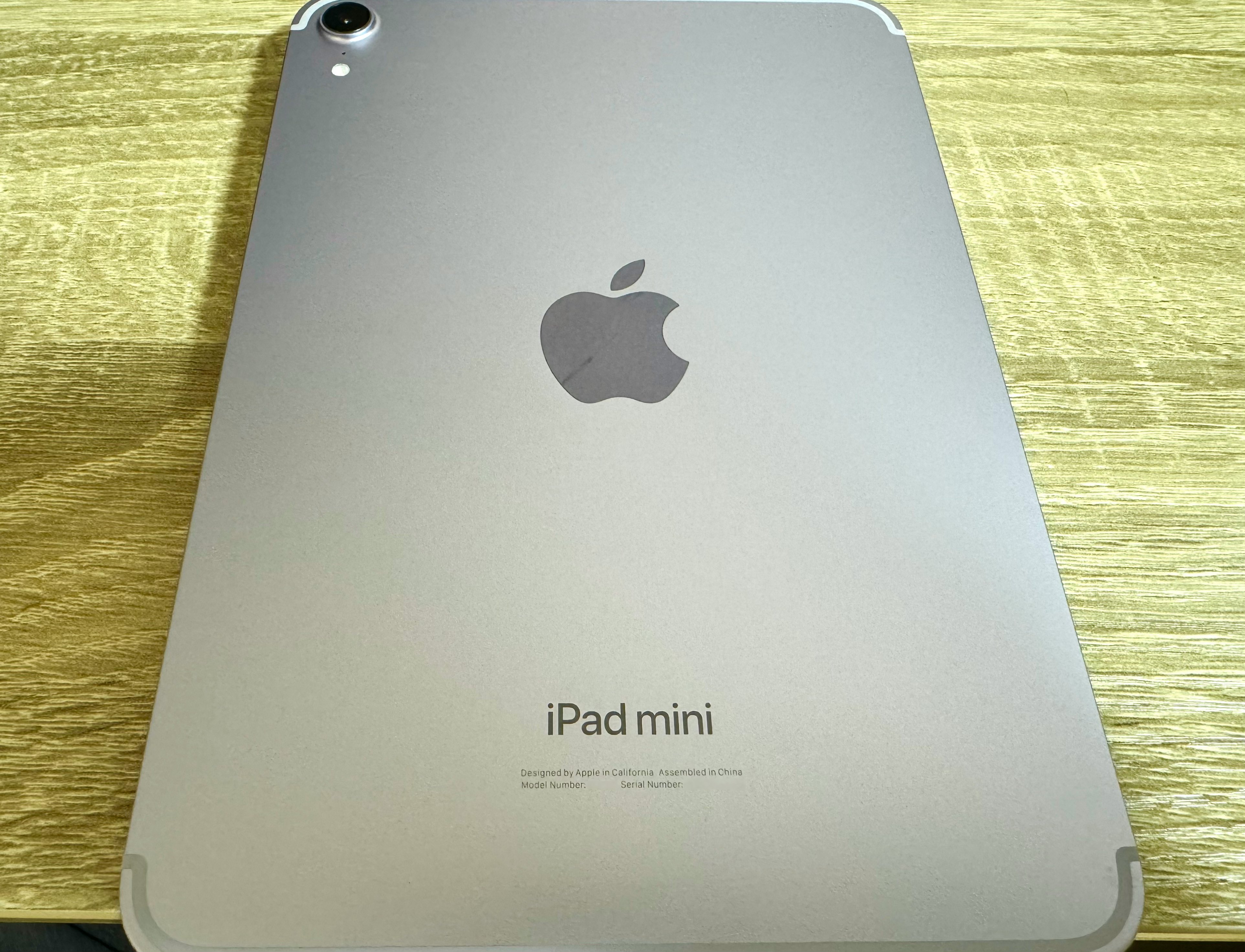 iPad mini (A17 Pro)を買ってしまった。。。1週間悩んで出した結論