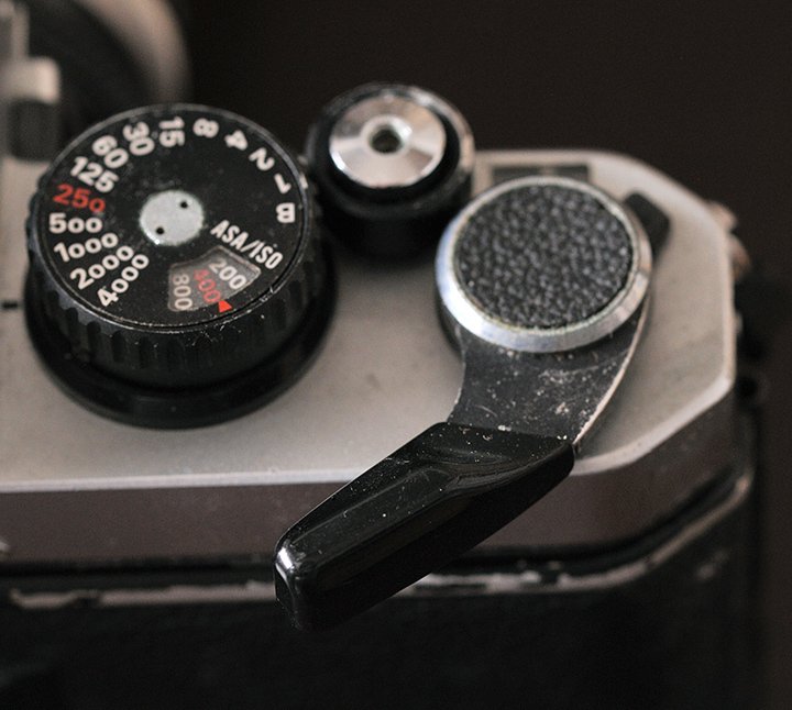 ニコンNew FM2 シンプルかつ使い勝手のいいフィルムカメラ｜渡邊博士