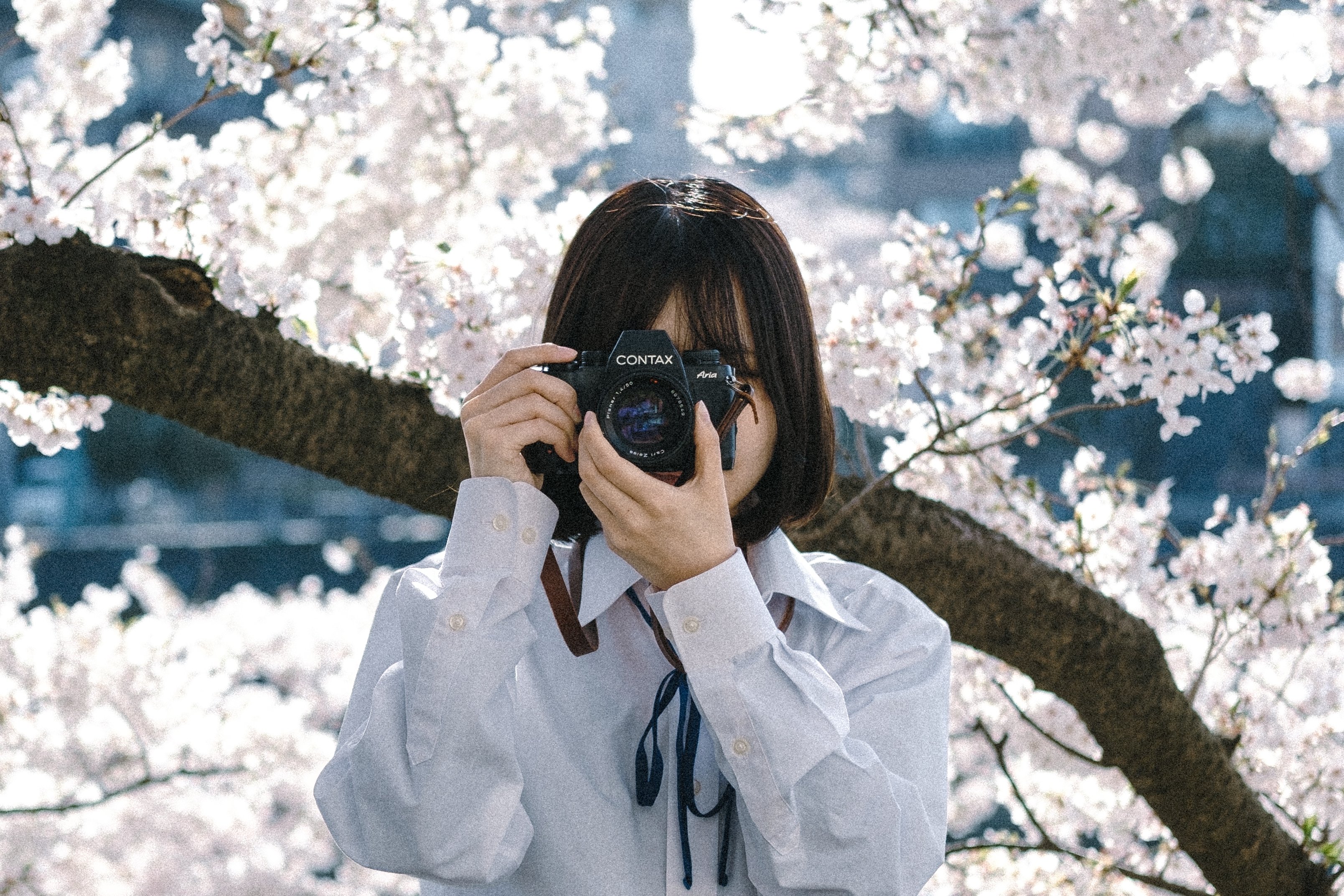 CONTAX Aria — 音と空気を写すフィルムカメラ｜寺﨑 司 / Tsukasa terasaki