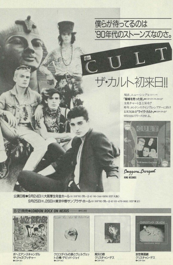 何でthe Jazz Butcherを知ったのか｜asako koidee