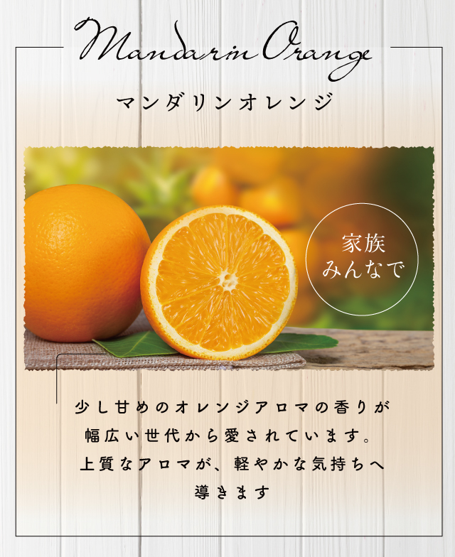 ノ アルフレナチュラルシャンプー 290mL オレンジの香り 新品