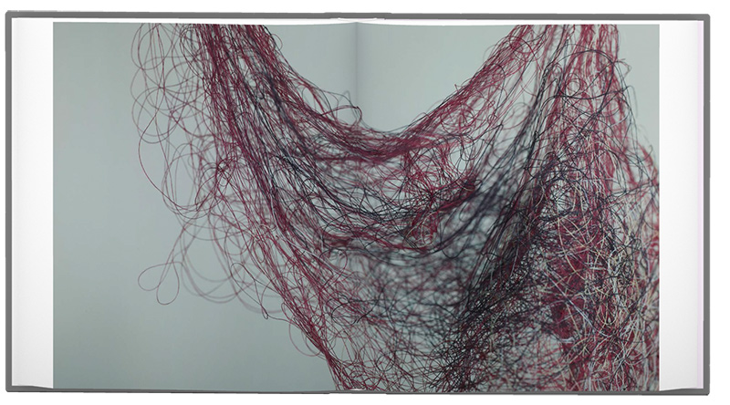 Richard Learoyd: Day for Night | Aperture