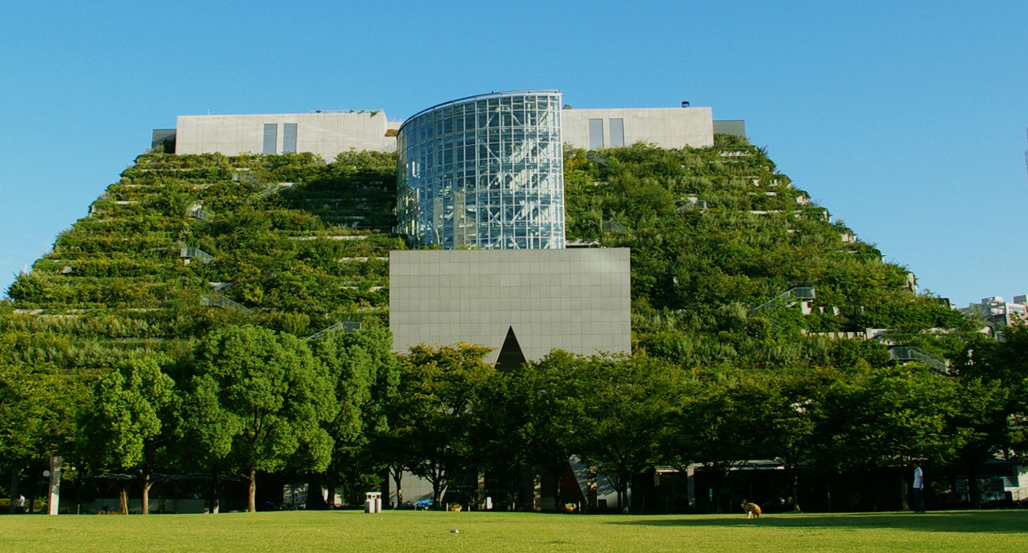 屋上緑化 | アクアソイル工法｜株式会社イケガミ｜屋上緑化・草屋根